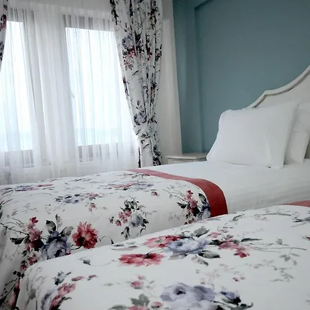 Limani Hotel 2*